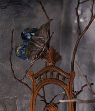 Load image into Gallery viewer, METAMORPHOSYA