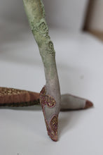 Load image into Gallery viewer, The Rose of Bellowmere