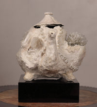 Load image into Gallery viewer, Seapot 'The Beloved'