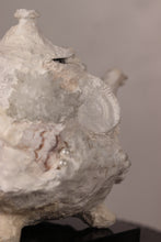 Load image into Gallery viewer, Seapot 'The Beloved'