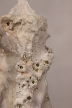 Load image into Gallery viewer, Seapot 'Lily of the Valley'