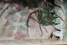 Load image into Gallery viewer, The Sleeping Garden